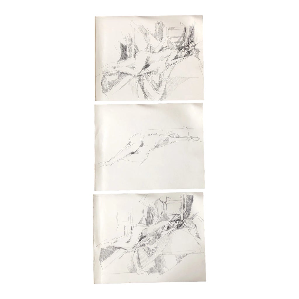 1970s Gallery Wall Collection 3 Reclining Female Nude Penn Ink Study