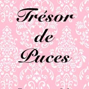 Trésor de Puces Profile