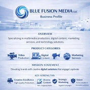 BLUE FUSION MEDIA LLC Profile