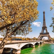 The Versailles Collection Profile