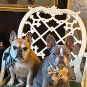 Inherited & Curated Treasures Profile