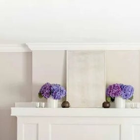 Caroline Kopp Interior Design
