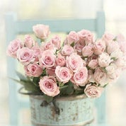 Paris Antiques Profile