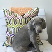 The Loopgarou Profile