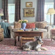 FOSTERED | FINDS Profile