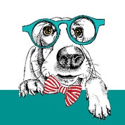 Vintage Hound Profile