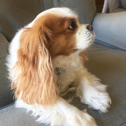 calm + collected Profile