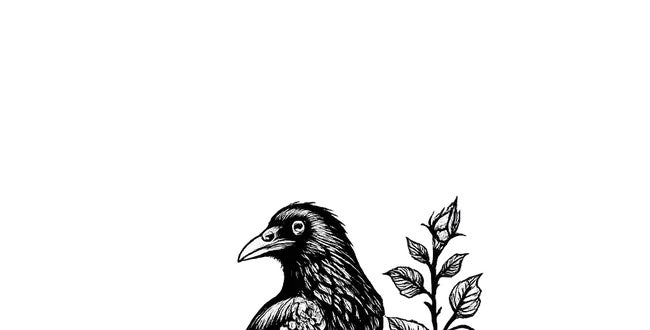 Shop Banner