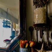 dpstazi by AJ's Profile