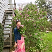 North Starr Designs Profile