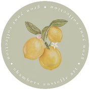 Chambers Austelle Profile