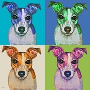 Murphy's Paw Profile