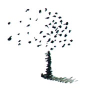 CM Natural Designs Profile