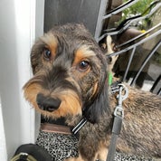 Gustavo Olivieri - LAST CALL Profile