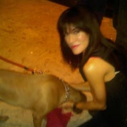 Hollywood H. Profile