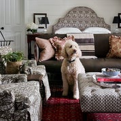 The Eclectic Traditional Profile