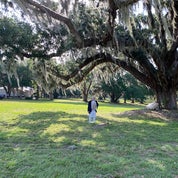Sebring Heritage. Profile
