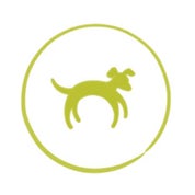 Stray Dog Designs for Chairish Profile