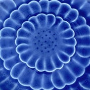 The Accent Piece Profile