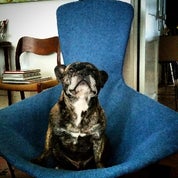 reVAMP Design Profile