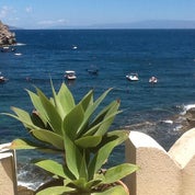 LuLuCalifornia Profile