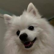 Brando’s House Profile