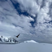 My Little Shop Profile