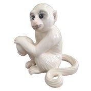 Elvis Monkey Store Profile