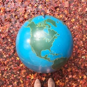 Fowler & Sellars Profile