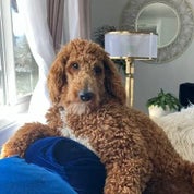 Essie lou S. Profile