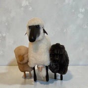 Sugar Hill Interiors Profile