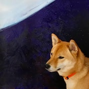 TOW STUDIOS INTERIORS LLC Profile