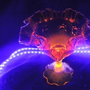 Vintage Glowing Glass Ceramics & More Profile