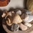 Pulchra Antiques & Interiors Avatar