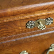 Bonsai Bristol Profile