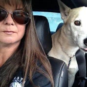 Found and Faded Profile