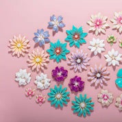 The Pink Reef Profile