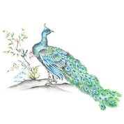 House Of Andaloo Profile