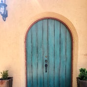 Casa de Terrier Profile