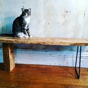 Creative Daze Studio Profile