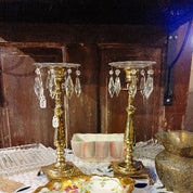 The Disco Dolls Profile