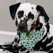 Wythe Company LLC Profile