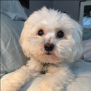 Miss Savage Style Profile