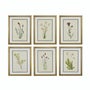Shop Timeless Walls