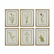 Timeless Walls Profile