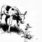 Ferdinand Vintage Profile