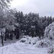 Soles Gallery  -   Fine Outsider Art & Sculptures Profile