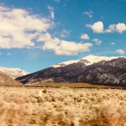 curating a home Profile