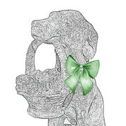 The Ann Parke Collection Profile