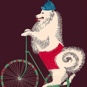 The Perfect Piece Profile